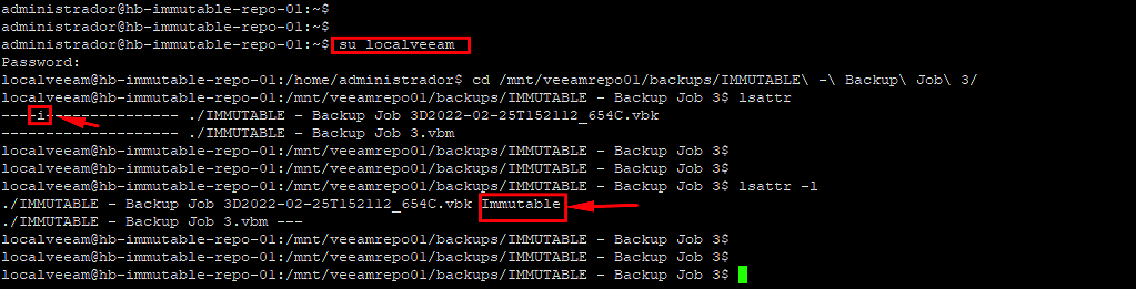 veeam-immutable-repository-63